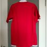 British & Irish Lions 2021 pro rugby jersey Image 2