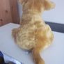 Vintage Russ Banjo Sitting Puppy Plush Toy Image 3