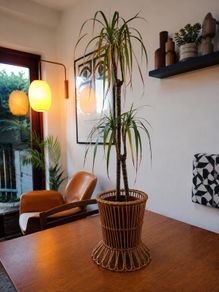 Ikea Bamboo Plant Stand Pot With Dracaena Plant