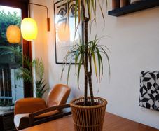 Ikea Bamboo Plant Stand Pot With Dracaena Plant