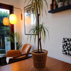 Ikea Bamboo Plant Stand Pot With Dracaena Plant
