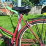 Apollo bicycle Image 2