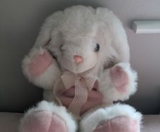 Rabbit teddy