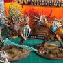 Sylvaneth Army Image 5