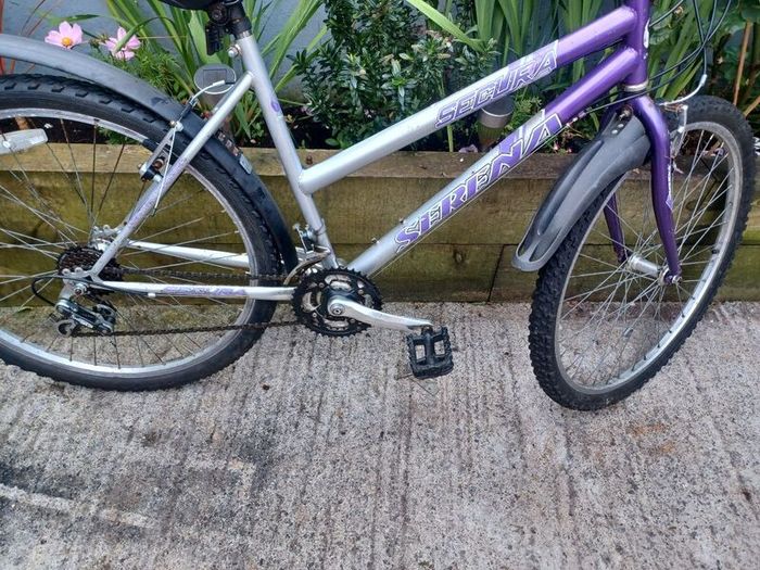 Womans mountain bike