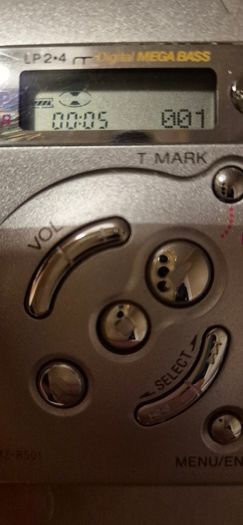 Sony Walkman MZ-R501