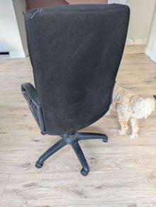 office chair