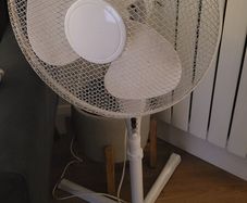 Fan