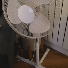 Fan