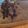 I Pinco Pallino Designer Shoes Size 29 UK 11 - New Image 6
