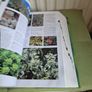 Flora The Gardener's Bible with CD Image 6