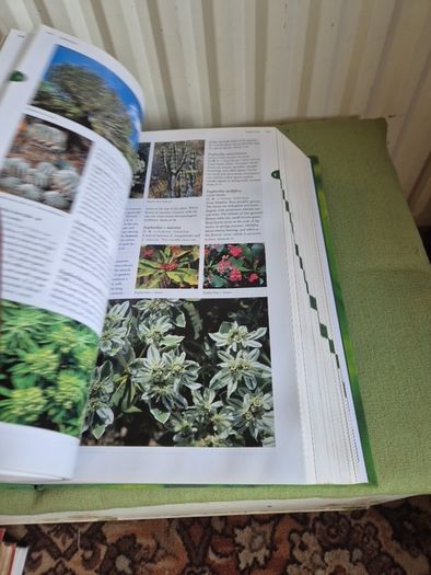 Flora The Gardener's Bible with CD
