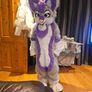 furry costume fursuit mascot suit purple husky Image 3