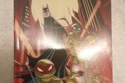 batman teenage mutant ninja turtles adventures