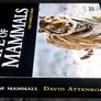 David Attenborough: The Life Of Mammals - The Complete Series DVD (2003) Image 3