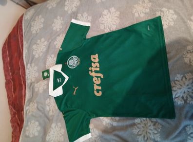 palmeirs soccer jersey