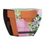 Bizzy Grow Gifts Mini Pots Image 4