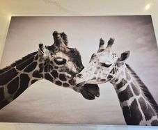 Canvas picture- Giraffe
