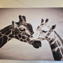 Canvas picture- Giraffe