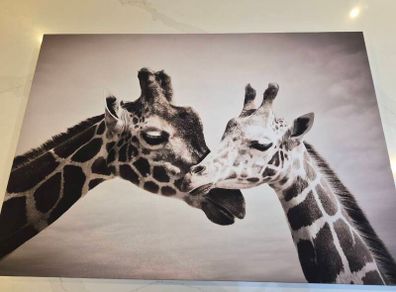 Canvas picture- Giraffe