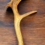 Antique antler Image 2