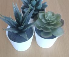 Decorative plastic succulents