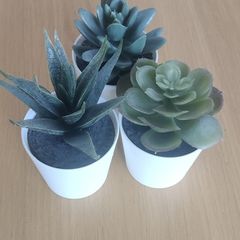 Decorative plastic succulents