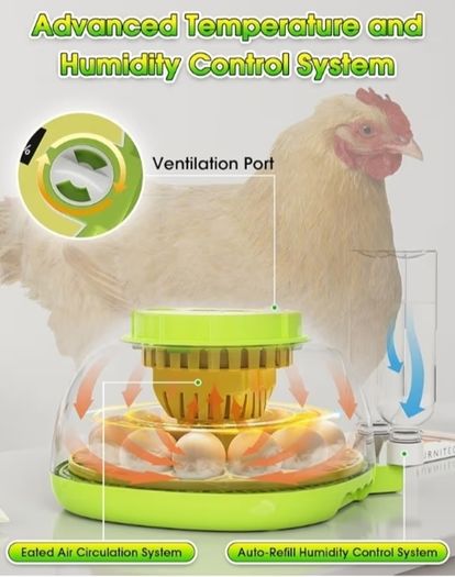 Incubators for Hatching Eggs,12 Egg Incubator with Automatic Egg Turning and Humidity Control,Egg Candler,Air Vent,360  Viewing for Chicken,Quail Eggs,Ideal for Farm,Classroom,Home