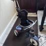 Trike Image 2
