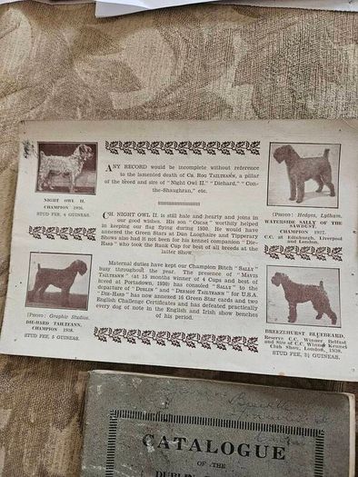 Catalogues Of The 10th & 11th Irish Kennel Club Shows 1931-32. Plus To Stud Cards For Dogs. Paperbacks In Only Fair Condition.  See Photos For Same.