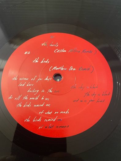 Telefon Tel Aviv - The Birds - 12" Vinyl Single - 2012 BPitch Control