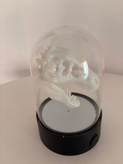Dinosaur Head