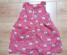 NEXT dress (size 2-3y - 98cm)