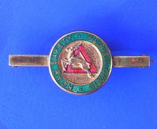 ROAD SAFETY PADVEILIGHEID (English/Afrikaans) South African qualification or award enamelled tiepin badge (1950's / 1960's)