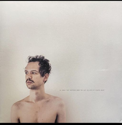 Darwin Deez lp