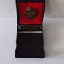 Feile Luimni  2012 - Gold ( Coloured ) Winners Medal Image 3