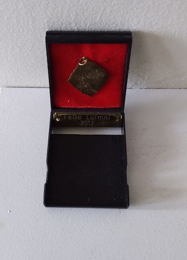 Feile Luimni  2012 - Gold ( Coloured ) Winners Medal
