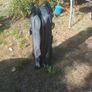 camping Image 5