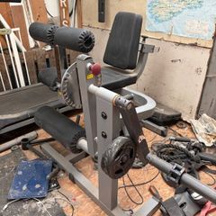 Leg extension and hamstring curl