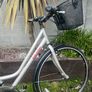 Raleigh Ladies Bike Image 3