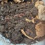 Established Wormery Image 4