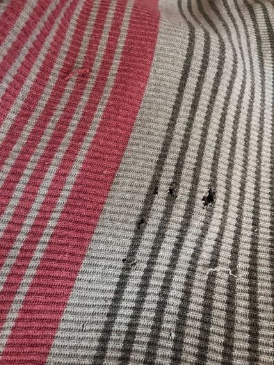 large wool throw