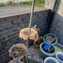 Plant pots Image 2