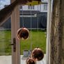 Modern Copper/Rose Gold 3 Globe Pendant Light Image 3