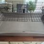 Rabbit / Guinea Pig Cage Image 10