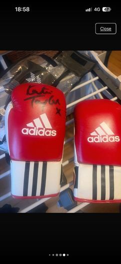 katie Taylor signed gloves