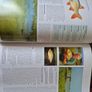Coarse Fishing A Step-By-Step Guide Image 7