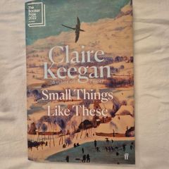 School novel Booker prize winner Small Things Like These