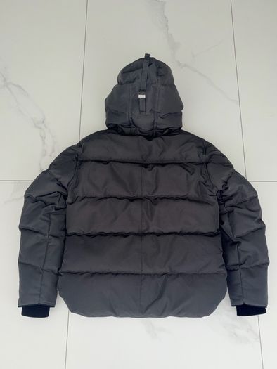 Canada goose