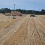 Small Square Bales Barley Straw Image 4